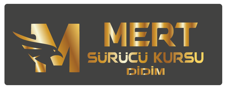 IMG-LOGO